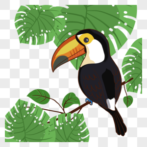 卡通夏季热带植物宽叶子植物巨嘴鸟图片
