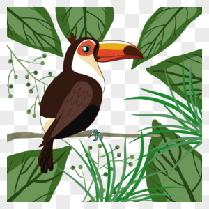 热带夏季植物可爱卡通巨嘴鸟图片素材