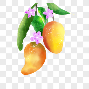 水彩芒果水果一串果实图片