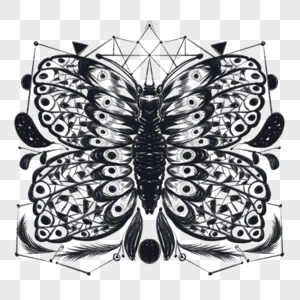 复古印花图案蝴蝶纹身图片