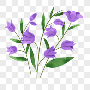 水彩风格蓝紫色蓝铃花婚礼花卉图片