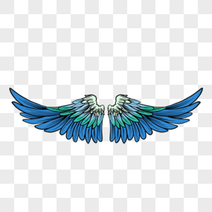 蓝绿美丽羽毛翅膀图片