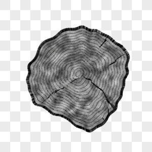 异形轮廓树木横隔面纹理图片