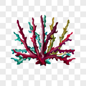 珊瑚色图片