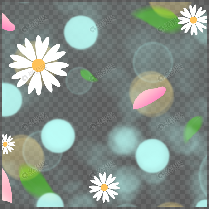 白色小雏菊与蓝色圆球树叶春天植物光效花卉图片