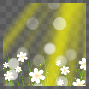 简约黄色光斑花卉图片