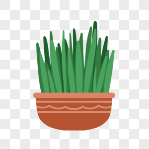 波斯新年盆子里的绿色植物图片
