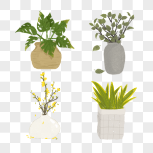 绿色盆栽植物室内装饰图片