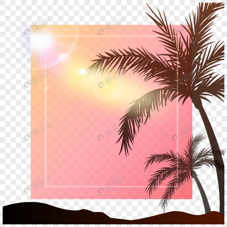 阳光照射下的椰树夏季夜晚边框图片