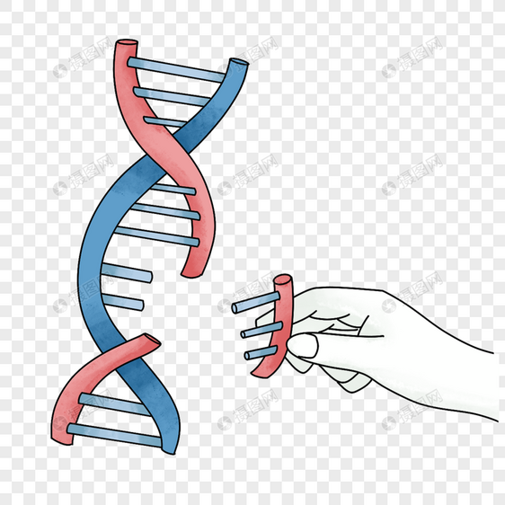 基因遗传学里的实验图片