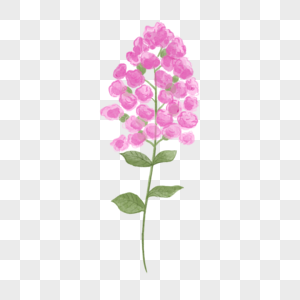 紫薇花水彩风格粉红色花卉图片
