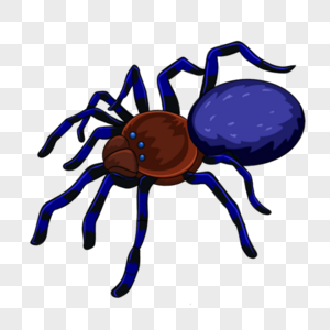 蜘蛛可怕蓝色昆虫图片
