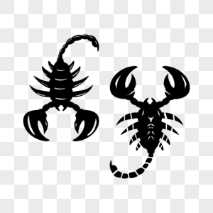 蝎子纹身雌动物图片