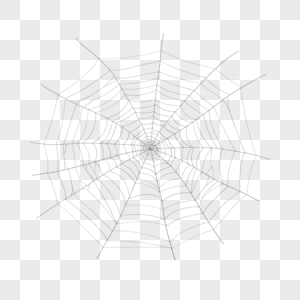 蜘蛛丝昆虫网线条黑色图片