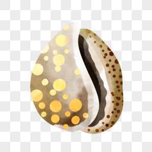 雪山宝螺海螺棕色斑点图片图片