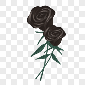 玫瑰黑色装饰贴纸图片