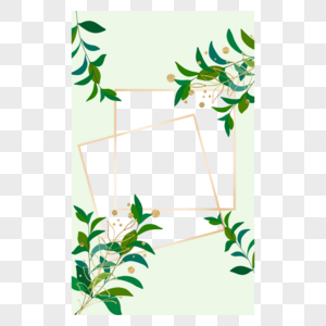 植物ins淡绿色正方形边框图片