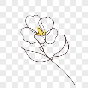 茉莉花花朵抽象线条画图片