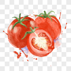 西红柿切开一半的水彩蔬菜水果图片