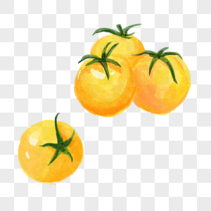 西红柿水彩蔬菜水果黄色图片