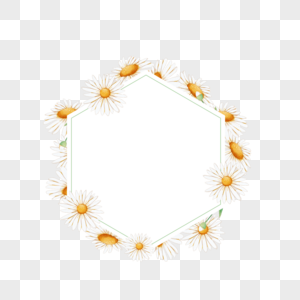 水彩洋甘菊花卉几何边框图片