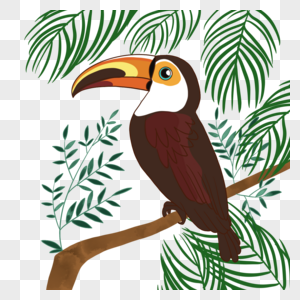 热带夏季植物卡通巨嘴鸟图片