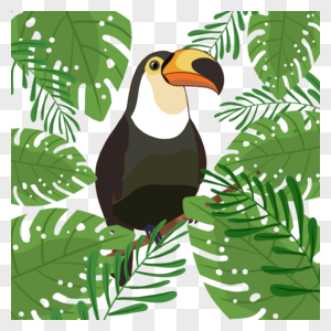 夏季热带植物宽叶子卡通巨嘴鸟图片