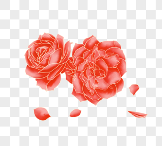 情人节妇女节水彩玫瑰花图片
