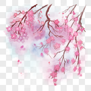 水彩背景桃花花卉樱花高清图片