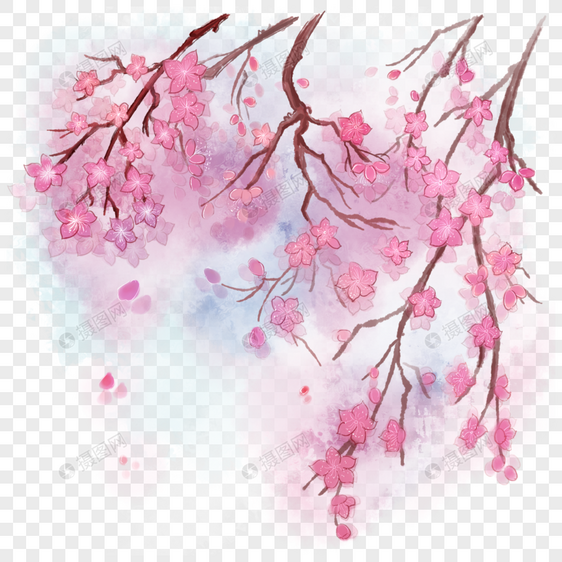 水彩背景桃花花卉樱花图片