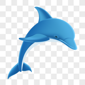 海豚海洋世界高清图片