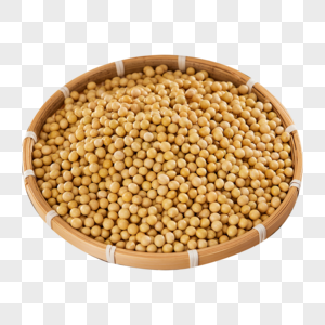 黄豆原材料食物原材料高清图片
