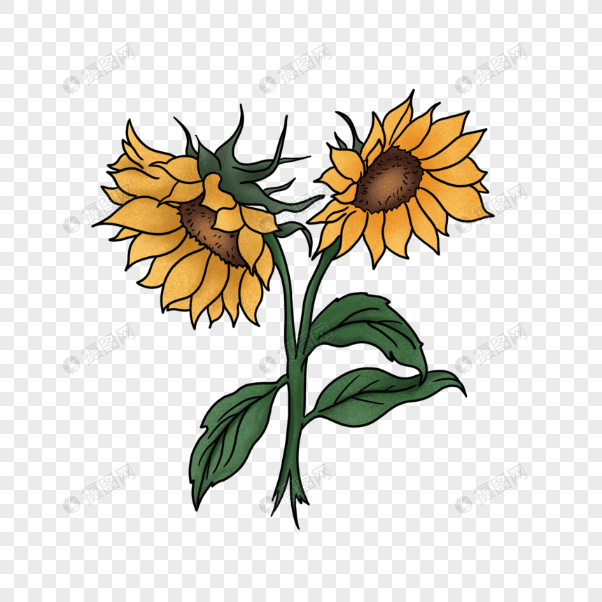 手绘植物花卉向日葵元素图片
