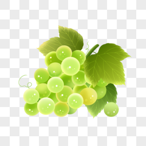夏季水果葡萄插画元素图片