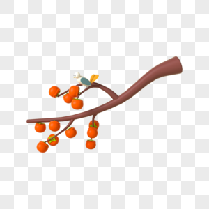 3d立体秋季水果柿子高清图片