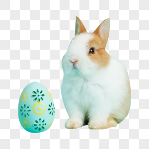 复活节的彩蛋小兔子图片