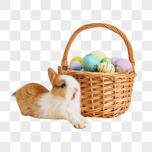 复活节彩蛋旁的小兔子伸懒腰高清图片