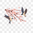 国潮立春燕子和桃花粉红色桃花花枝花瓣飞燕图片