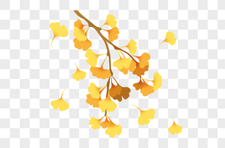 立秋银杏叶秋天黄色叶子高清图片