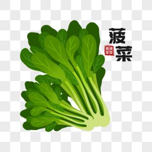 菠菜秋季食物高清图片