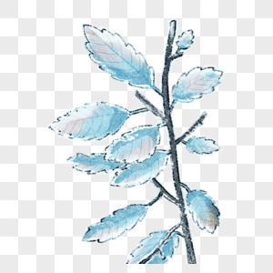 结霜的树叶图片