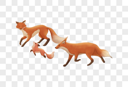 狐狸一家三口图片