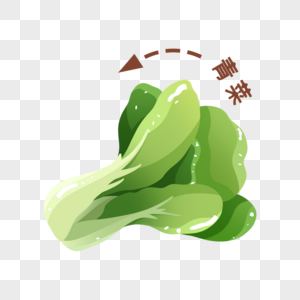 青菜图片