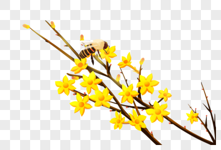 蜜蜂采蜜花卉蜜蜂高清图片