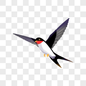 飞翔的燕子小鸟飞翔素材高清图片