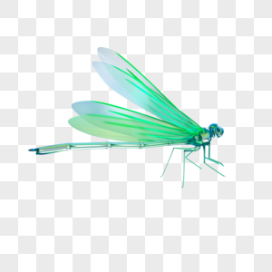 3D立体绿色亚克力质感蜻蜓元素高清图片