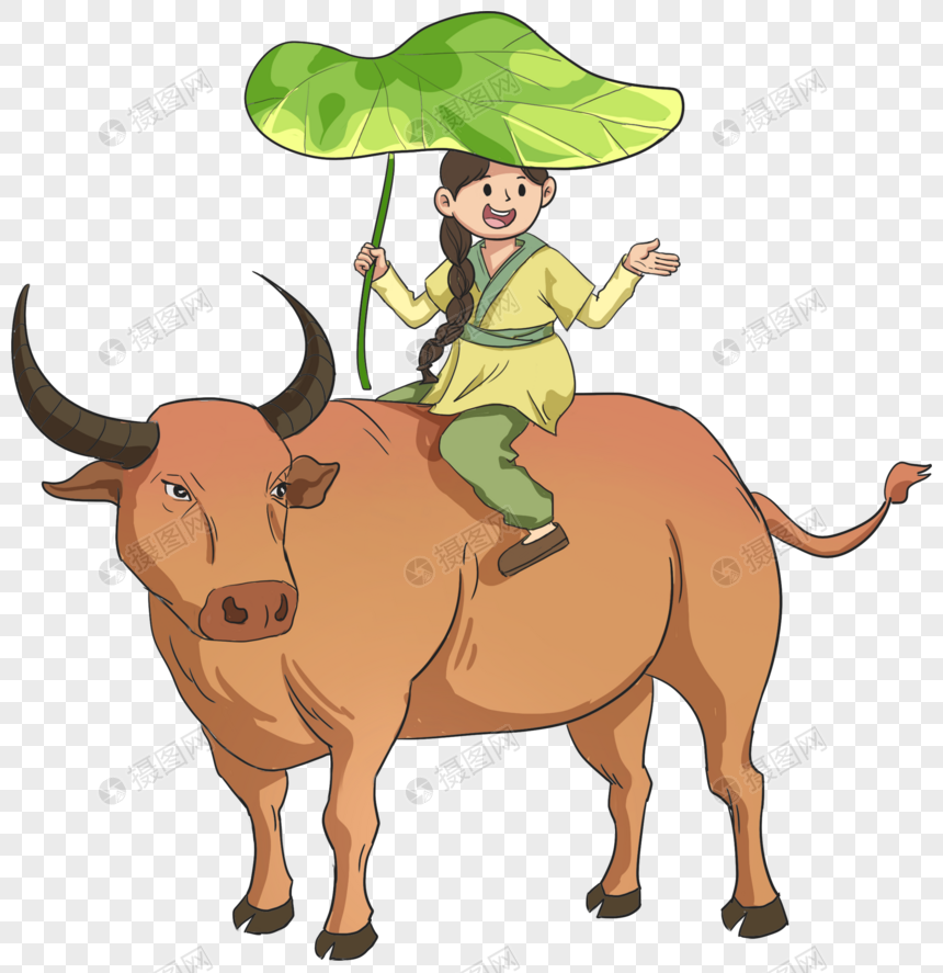 女孩乡间骑牛插画图片