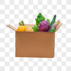 盒子里的水果蔬菜图片