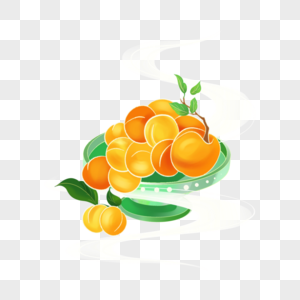 玉盘杏子图片