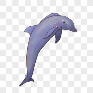 海洋海豚动物图片